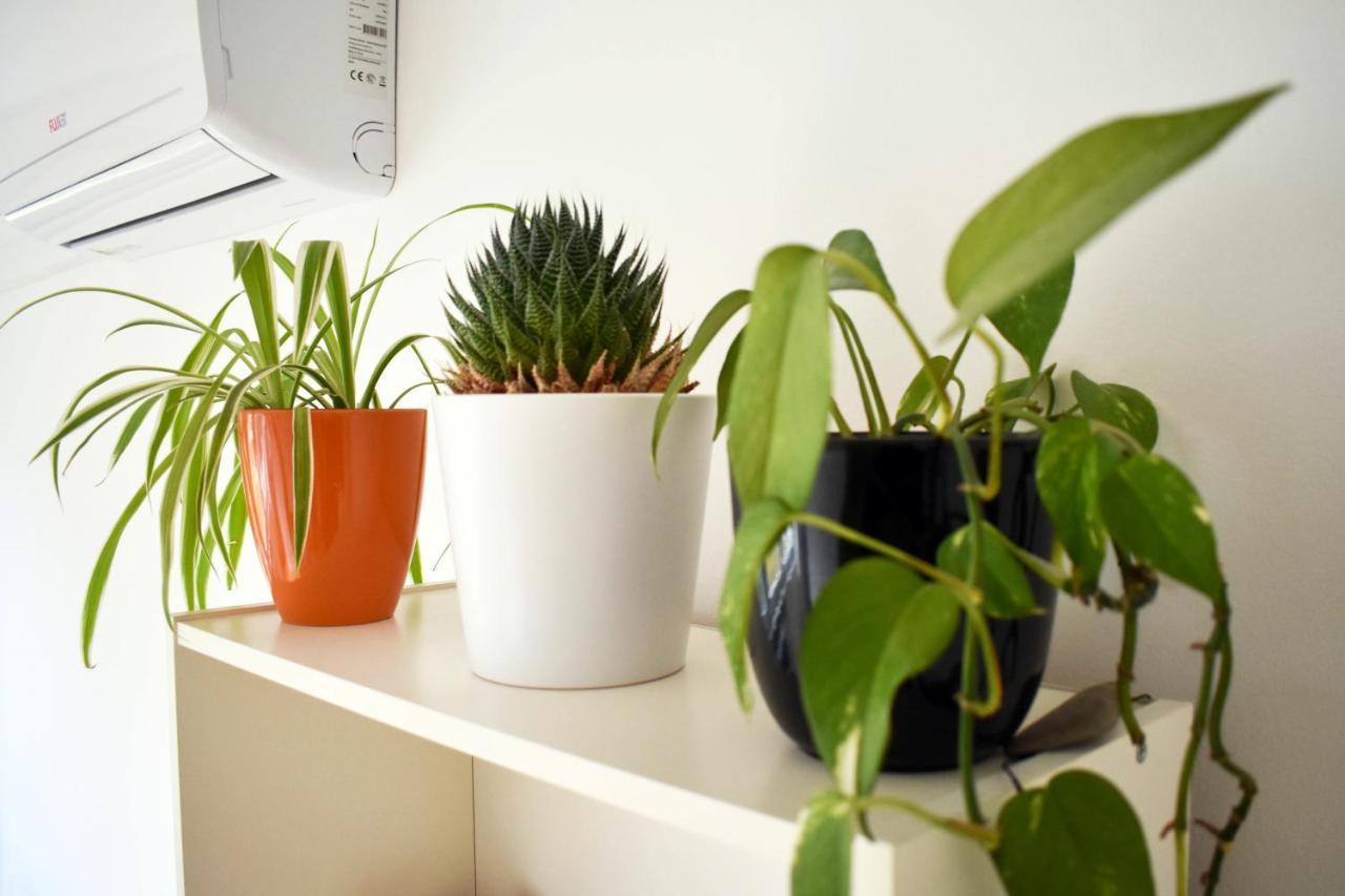 Cozy Donkey - Sporty Lake Apartment Zagreb Bagian luar foto